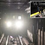 O policial de Nova York empurrou para o L Train Subless Tracks por Homeless Man: Fontes policiais