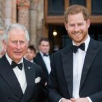O príncipe real Harry instou a localizar a rede secreta do rei Charles cumprindo