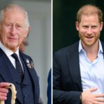 O príncipe real Harry satisfaz o rei Charles em grande desejo de assentamento