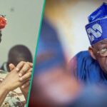 O que acontecerá com Obi e Tinubu na região sudeste em 2027? Ex -ministro faz previsão poderosa