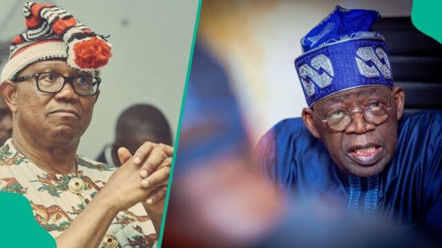 O que acontecerá com Obi e Tinubu na região sudeste em 2027? Ex -ministro faz previsão poderosa

