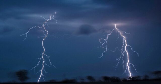 O risco de 'asma de trovoada' aumenta à frente da primavera úmida

