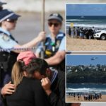 O tubarão mata o banheiro em ataque em Sydney Beach, dizem as autoridades