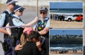 O tubarão mata o banheiro em ataque em Sydney Beach, dizem as autoridades O tubarão mata o banheiro em ataque em Sydney Beach, dizem as autoridades