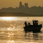 Ocidente de pesca da OMC: os resultados líquidos