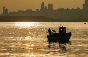 Ocidente de pesca da OMC: os resultados líquidos Ocidente de pesca da OMC: os resultados líquidos