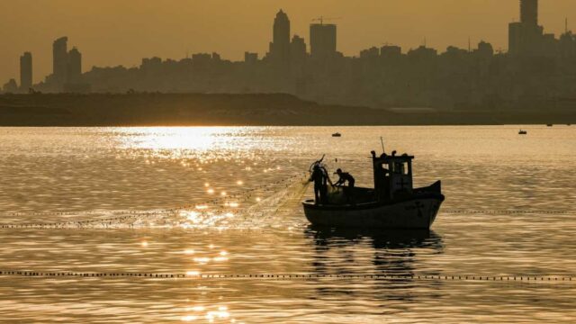 Ocidente de pesca da OMC: os resultados líquidos

