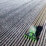 Os agricultores locais vencem quando o gigante portfólio de culturas da Proterra é dividido