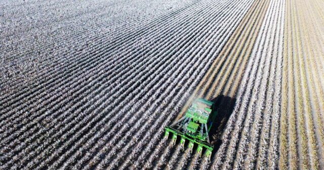 Os agricultores locais vencem quando o gigante portfólio de culturas da Proterra é dividido


