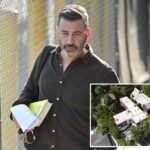 Os bombeiros de LA lançaram pequenos incêndios do lado de fora de Jimmy Kimmel's Hollywood Hills Home