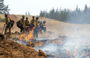 Os bombeiros questionam o papel dos líderes no ataque de imigração de Washington Cartoon de Pedro Molina