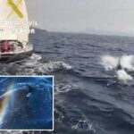 Os cientistas reivindicam ondas de ataques de orca a barcos europeus são a maneira de jogar das baleias: relatório