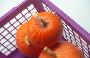 Os pesquisadores pedem atividade imediata para minimizar a exposição direta de plástico das crianças caixas de plástico