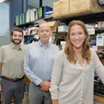 Os cientistas têm como alvo a nova abordagem para conter o nascimento prematuro