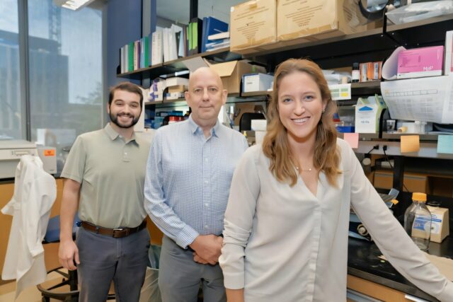 Os cientistas têm como alvo a nova abordagem para conter o nascimento prematuro