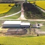 Ovelha como legado do falecido proprietário de West Fitzgerald e West River Parcel