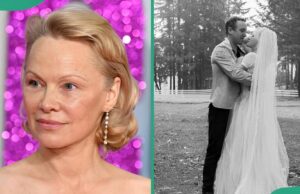 Pamela Anderson e Dan Hayhurst: uma linha do tempo completa de relacionamento Pamela Anderson e Dan Hayhurst: uma linha do tempo completa de relacionamento