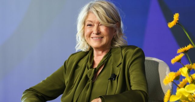 Pegue a busca de bolsas Birkin de Martha Stewart por apenas US $ 40 

