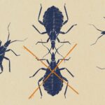 P&R: Os 'beijos de bugs' estão espalhando doenças na Virgínia?