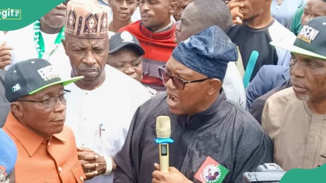 Peter Obi encontra Obasanjo enquanto se move para despedir Tinubu engrossar, veja fotos e detalhes

