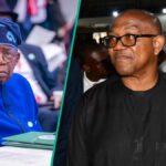 Peter Obi envia uma mensagem forte para Tinubu, pois mais de 100 nigerianos mortos em Borno, Sokoto, Katsina, 1 Outros, veja detalhes completos
