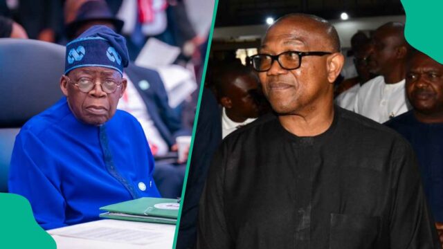 Peter Obi envia uma mensagem forte para Tinubu, pois mais de 100 nigerianos mortos em Borno, Sokoto, Katsina, 1 Outros, veja detalhes completos

