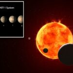 Ilustração do sistema TRAPPIST-1 STAR.