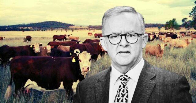 Plano climático de AG do trabalho liberado, a chave de captura de carbono para seu sonho net-zero

