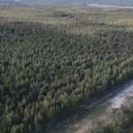 Plantação produtiva em Napier chega ao mercado com US $ 2,2 milhões de preços