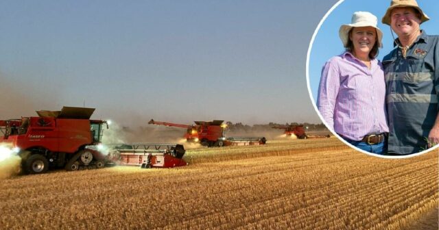 Por que essa família australiana que cultiva grãos compra um novo cabeçalho todos os anos

