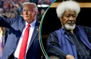 “Por que não vou nos honrar o Visa Reinterview”: Soyinka explode Trump "Por que não vou nos honrar o Visa Reinterview": Soyinka explode Trump