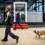 Lewis Hamilton and Roscoe