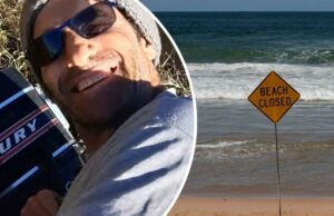 Praias fechadas, o teste de remoção líquido parou após o surfista, 57, morto em ataque de tubarão Praias fechadas, o teste de remoção líquido parou após o surfista, 57, morto em ataque de tubarão