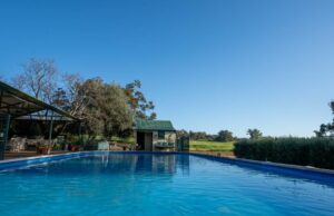 Propriedade da família Arthur River sobe à venda pela primeira vez em 70 anos Propriedade da família Arthur River sobe à venda pela primeira vez em 70 anos