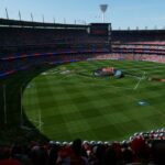 Mcg