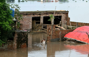 Punjab Kings se inscreveu com iniciativas de alívio de inundação com Rs 33,8 lakh Contribuição Punjab Kings se inscreveu com iniciativas de alívio de inundação com Rs 33,8 lakh Contribuição