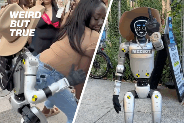 Quem está por trás de 'Rizzbot'? O robô rude de Tiktok atinge NYC | Estranho, mas verdadeiro

