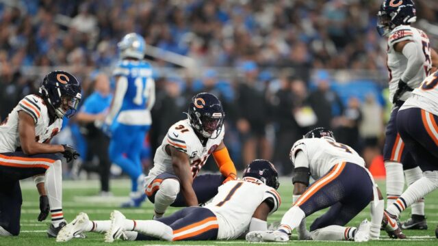 Recursos: Celebrity Bears CB Johnson para sempre 

