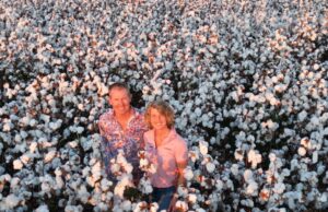Região Ord, pontilhada de bolas de algodão branco de neve emolduradas por terra ocre em pó Região Ord, pontilhada de bolas de algodão branco de neve emolduradas por terra ocre em pó