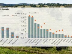 Reputação de ouro: as exportações de carne bovina são diversas, respeitadas e crescentes Reputação de ouro: as exportações de carne bovina são diversas, respeitadas e crescentes