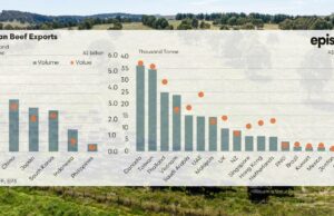 Reputação de ouro: as exportações de carne bovina são diversas, respeitadas e crescentes Reputação de ouro: as exportações de carne bovina são diversas, respeitadas e crescentes