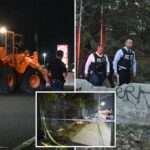 Restos esqueléticos parciais, incluindo Skull Human, encontrados perto de NYC Strip Mall: Cops