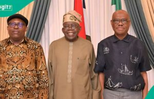 Rivers LG Eleições sob fogo como analista de primeira linha Wike, APC, PDP por supostas ofertas Rivers LG Eleições sob fogo como analista de primeira linha Wike, APC, PDP por supostas ofertas