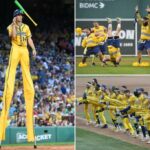 Savannah Bananas trazendo show para o Bronx pela primeira vez