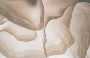 ‘Silence of the Looms’ Weaves Forgotten Muslin Background no mercado de trabalho asiático de Busan 'Silence of the Looms' Weaves Forgotten Muslin Background no mercado de trabalho asiático de Busan