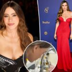 Sofía Vergara forçada a pular Emmys 2025 depois de aterrissar na sala de emergência