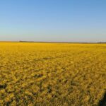 Solos altamente produtivos com mineração e oportunidades de energia renovável
