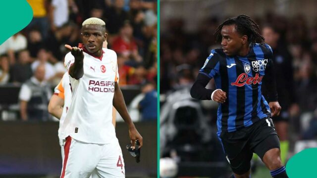 Super Eagles Envie uma mensagem sutil para Osimhen, Lookman, outros 4 seguindo o esclarecimento da NFF sobre as demesas

