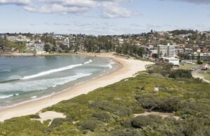 Surfista morto por um tubarão na Popular Sydney Beach Surfista morto por um tubarão na Popular Sydney Beach