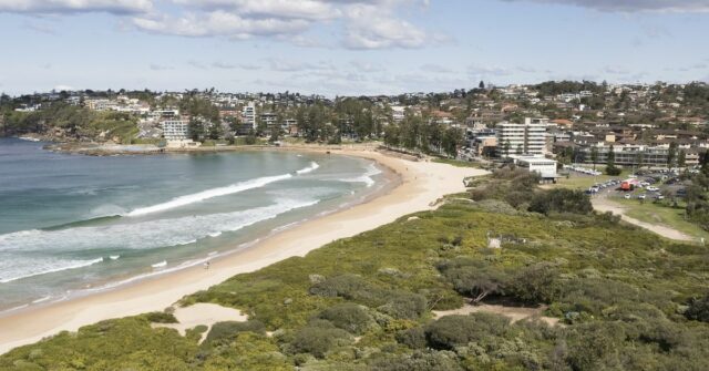 Surfista morto por um tubarão na Popular Sydney Beach

